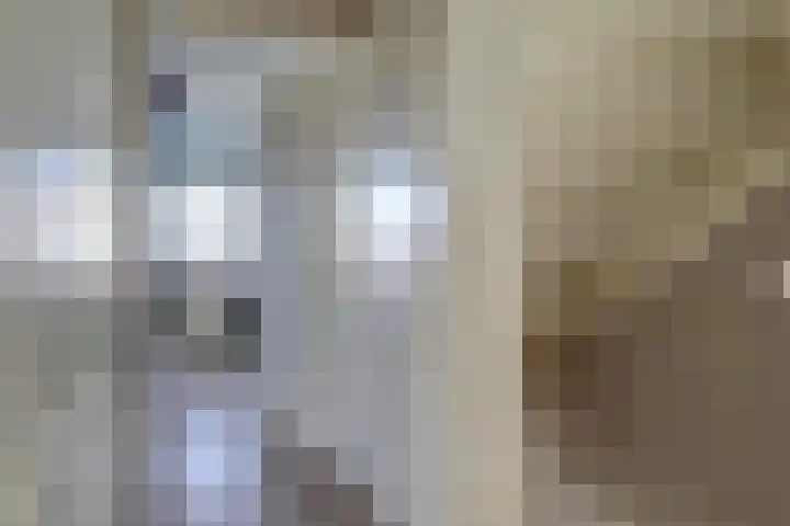 Bansloot 5 Tuitjenhorn thumbnail 28