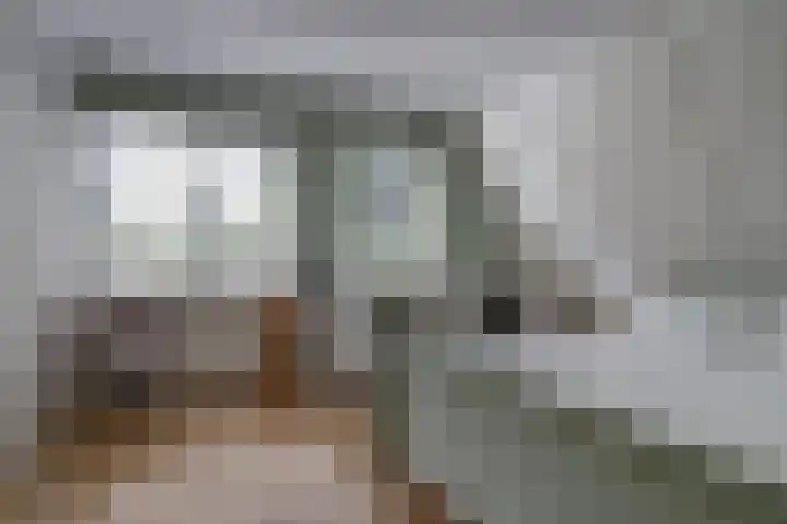 Bansloot 5 Tuitjenhorn thumbnail 32