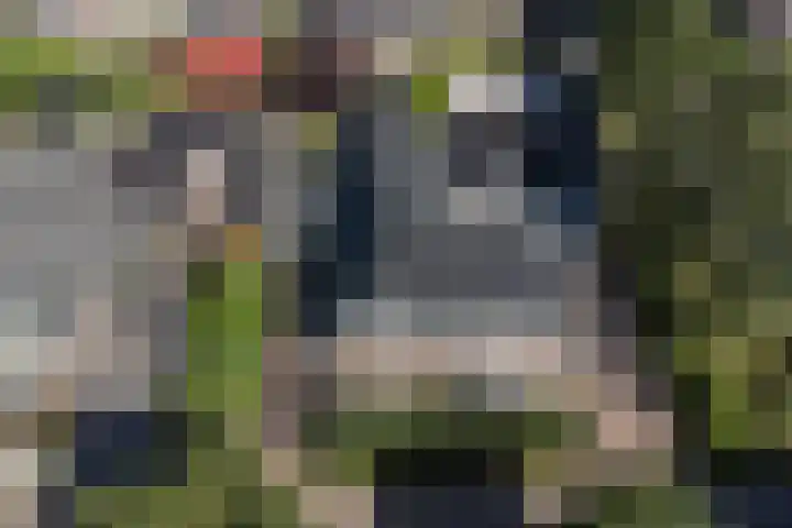 Bansloot 5 Tuitjenhorn thumbnail 39