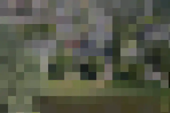 Bansloot 5 Tuitjenhorn thumbnail 4