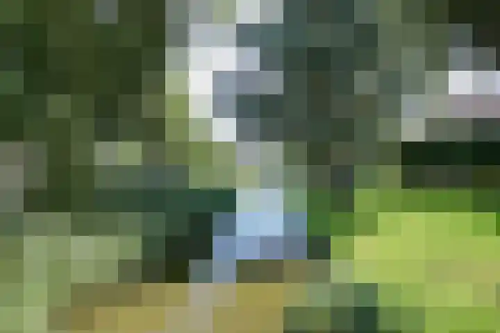 Bansloot 5 Tuitjenhorn thumbnail 42