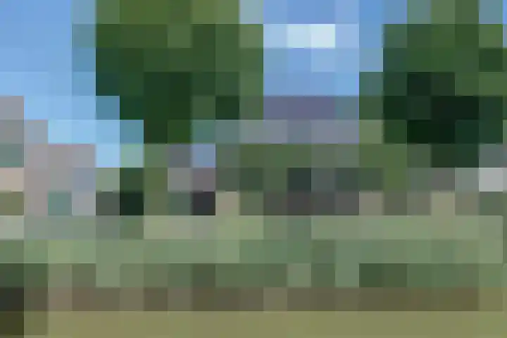 Bansloot 5 Tuitjenhorn thumbnail 44