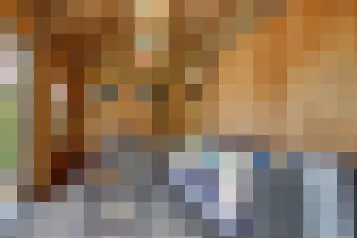 Bansloot 5 Tuitjenhorn thumbnail 5