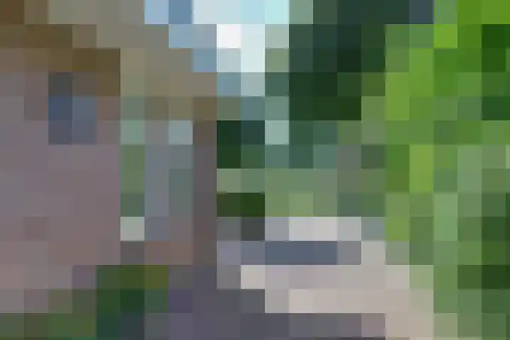 Bansloot 5 Tuitjenhorn thumbnail 6