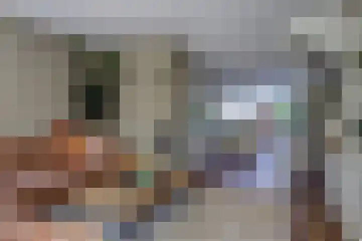 Bansloot 5 Tuitjenhorn thumbnail 9