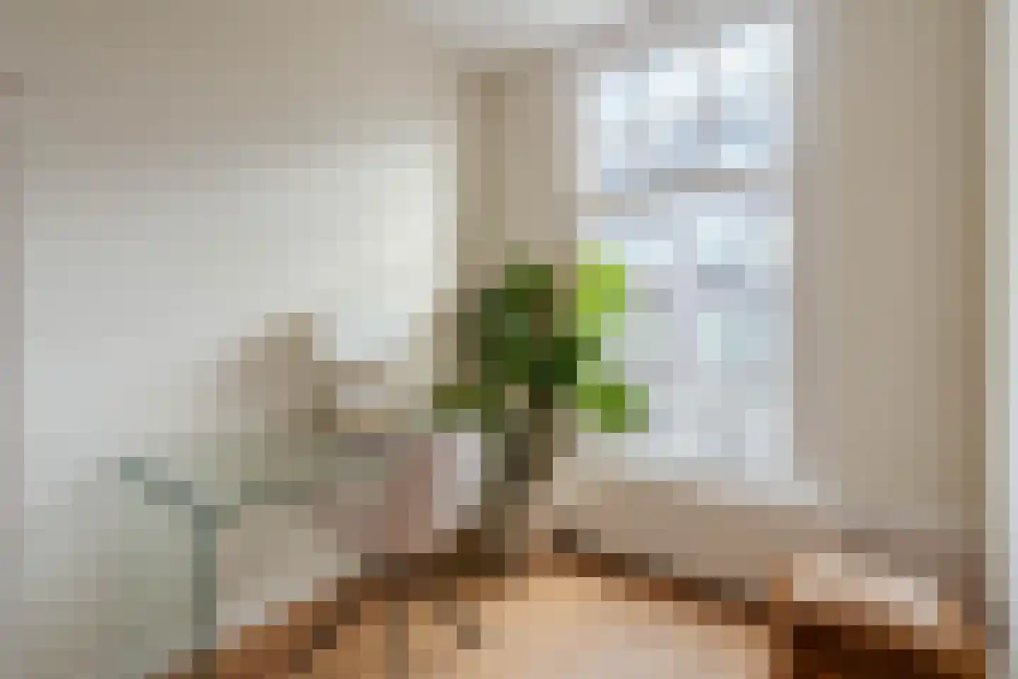 Banstraat 14 2 Amsterdam thumbnail 21