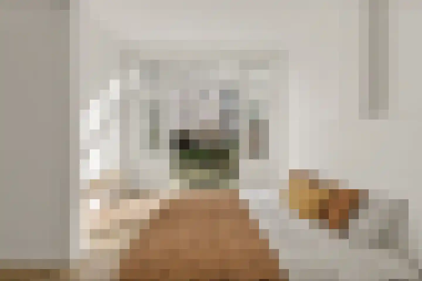 Banstraat 14 Den Haag thumbnail 18