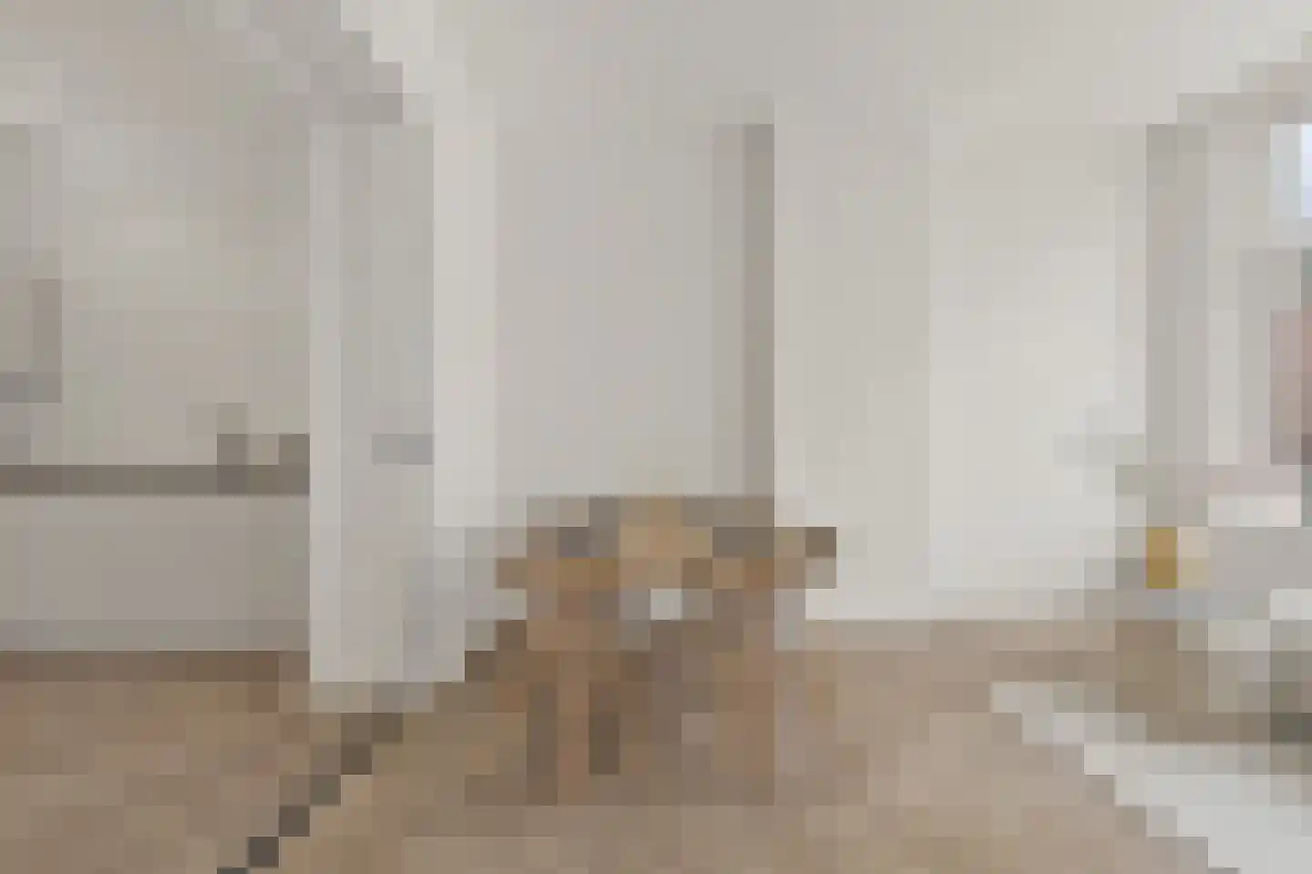 Banstraat 14 Den Haag thumbnail 9