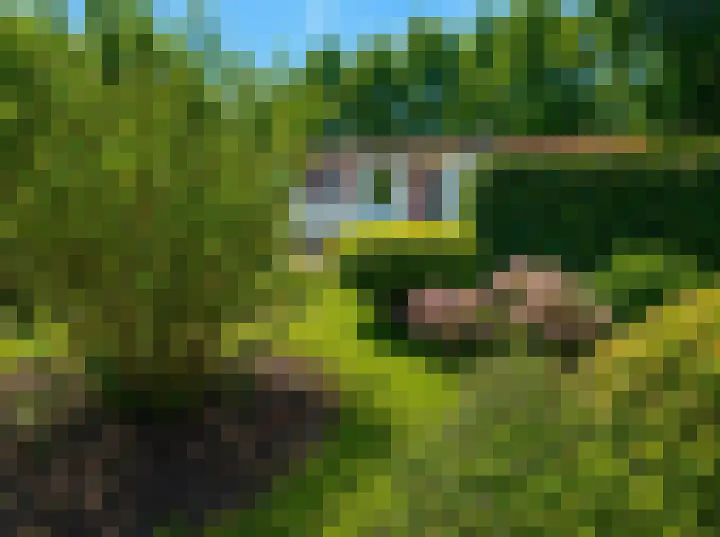 Banstraat 25 422 Veldhoven thumbnail 16