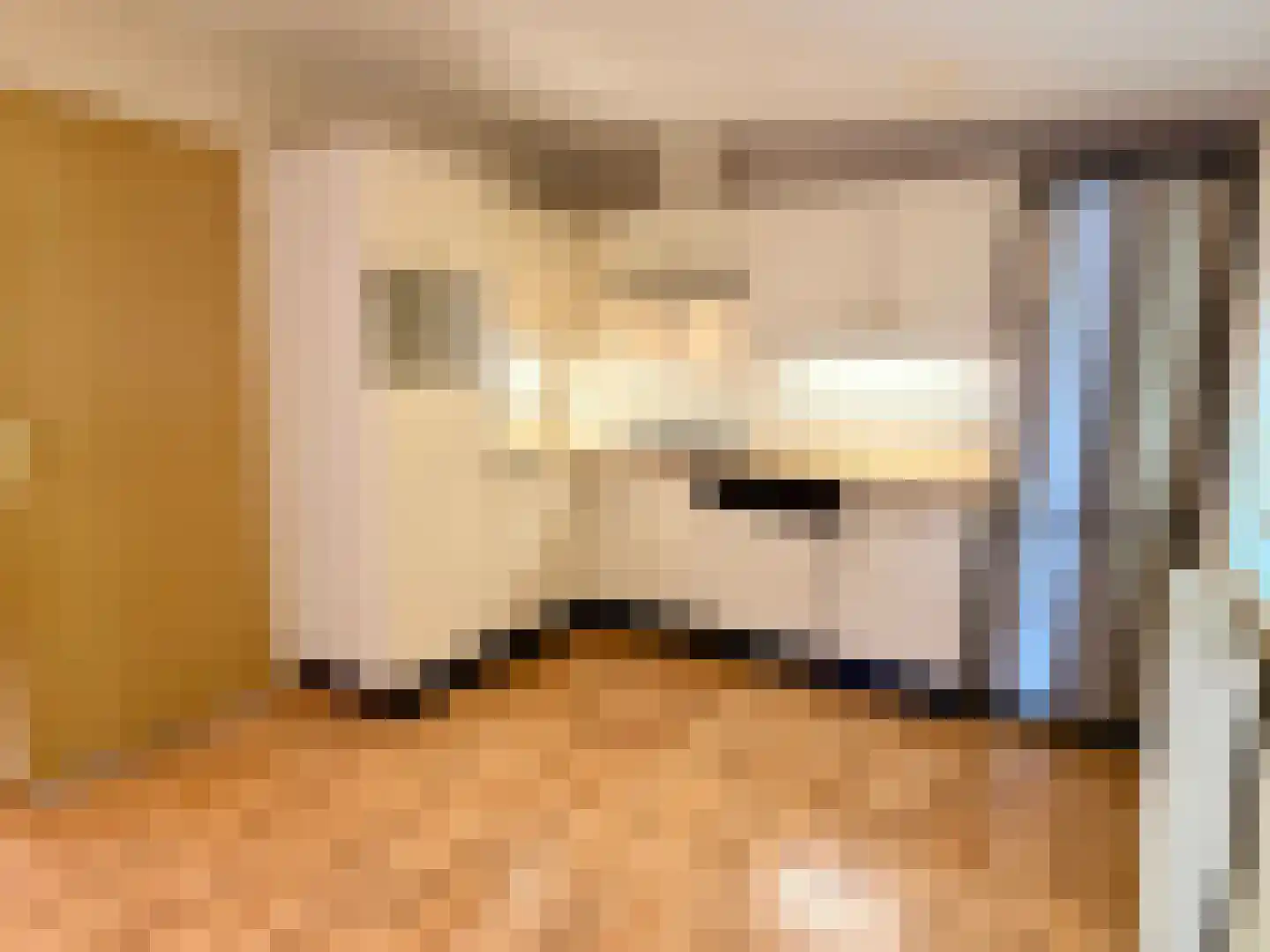 Banstraat 25 422 Veldhoven thumbnail 6