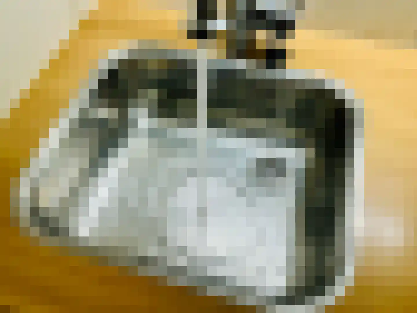 Banstraat 25 422 Veldhoven thumbnail 7