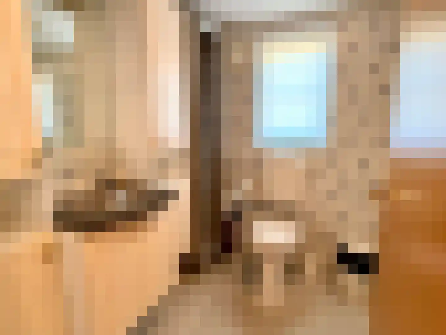 Banstraat 25 422 Veldhoven thumbnail 9