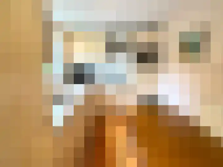 Banstraat 25 430 Veldhoven thumbnail 12