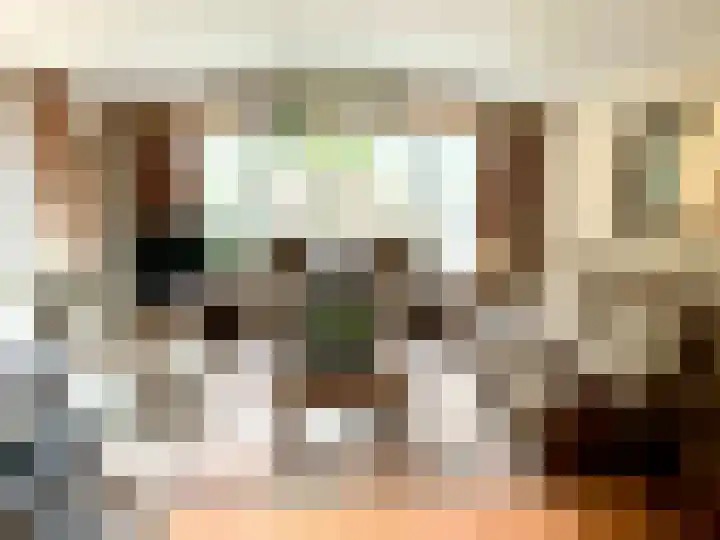Banstraat 25 430 Veldhoven thumbnail 15