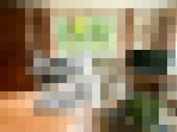 Banstraat 25 430 Veldhoven thumbnail 17