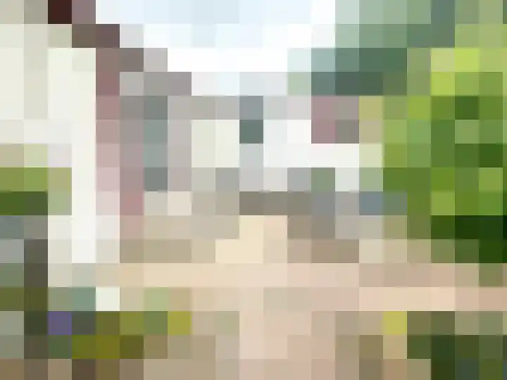 Banstraat 25 430 Veldhoven thumbnail 18
