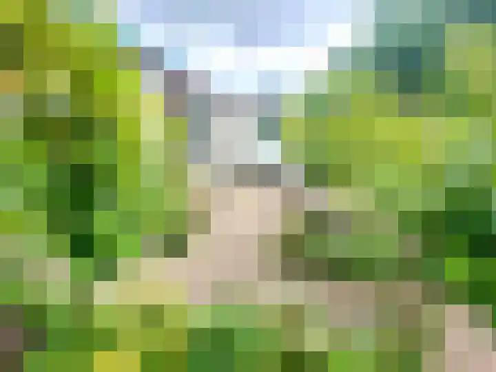 Banstraat 25 430 Veldhoven thumbnail 19