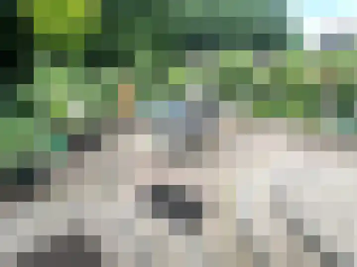 Banstraat 25 430 Veldhoven thumbnail 20