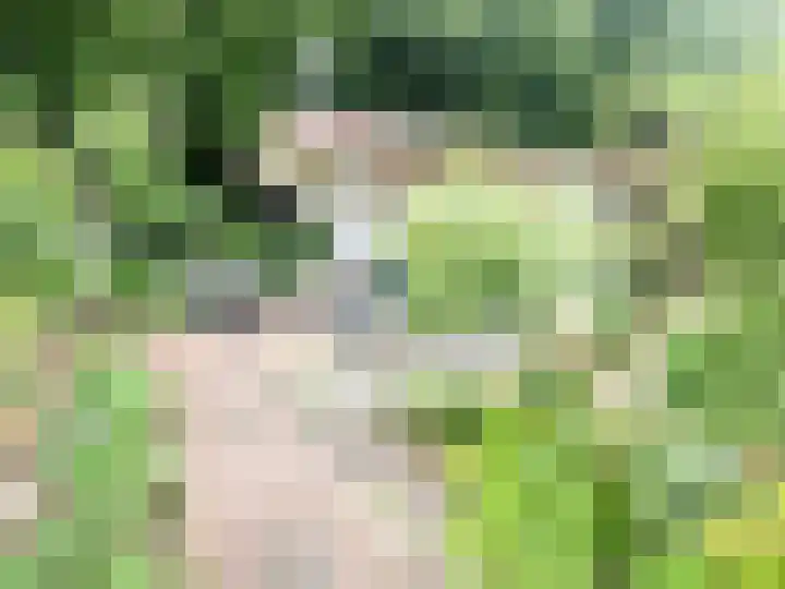Banstraat 25 430 Veldhoven thumbnail 21