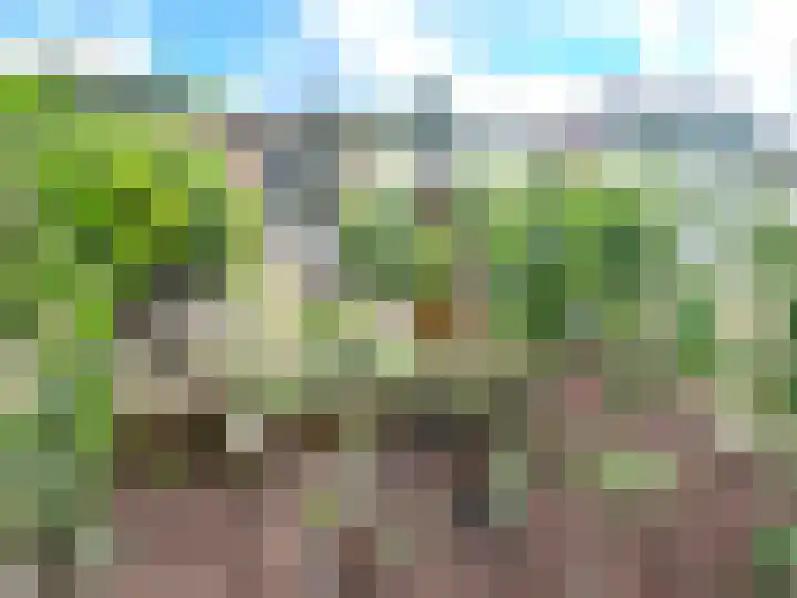 Banstraat 25 430 Veldhoven thumbnail 22