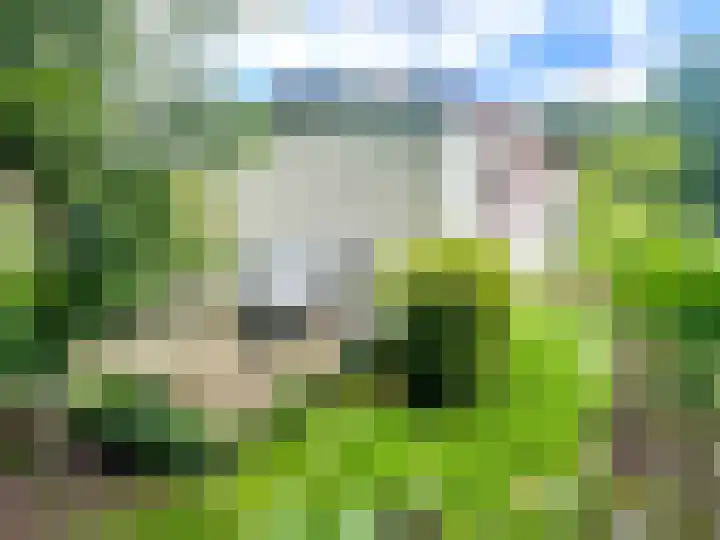 Banstraat 25 430 Veldhoven thumbnail 23