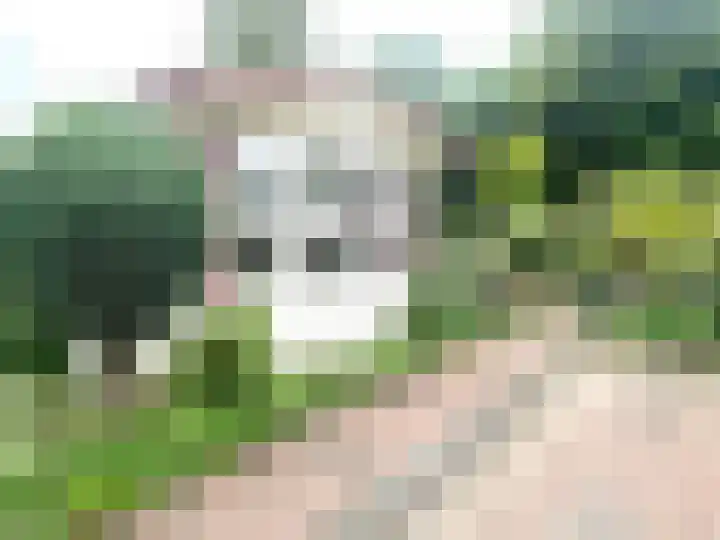 Banstraat 25 430 Veldhoven thumbnail 24