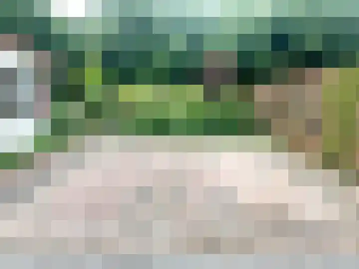 Banstraat 25 430 Veldhoven thumbnail 26