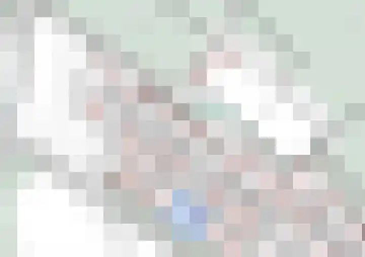 Banstraat 25 430 Veldhoven thumbnail 27