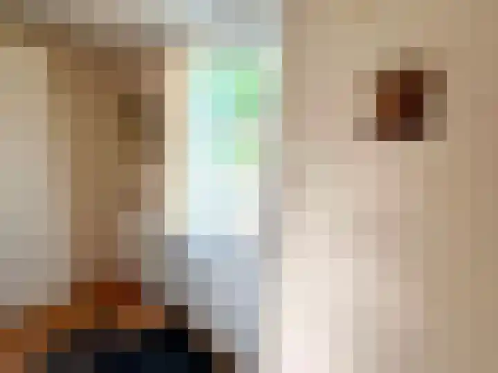 Banstraat 25 430 Veldhoven thumbnail 4