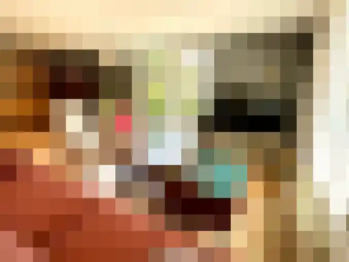 Banstraat 25 433 Veldhoven thumbnail 13