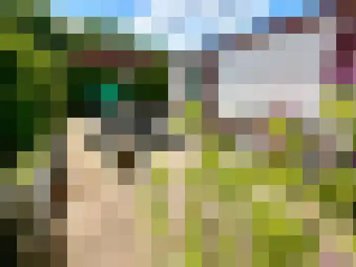 Banstraat 25 433 Veldhoven thumbnail 24