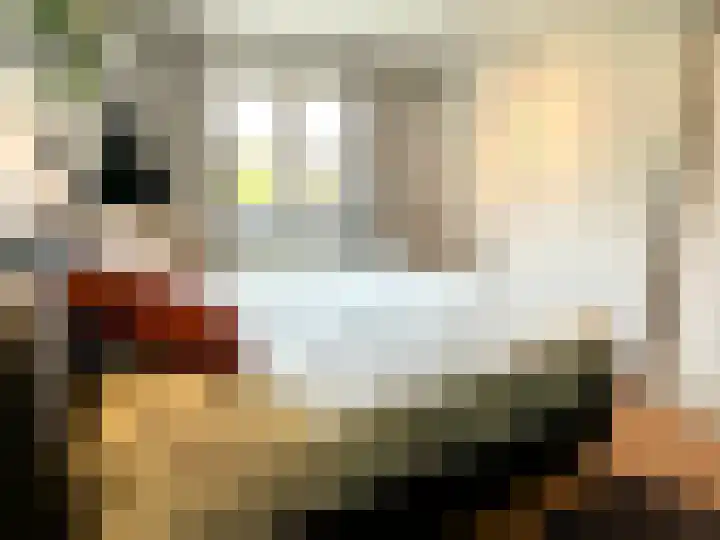 Banstraat 25 S02 Veldhoven thumbnail 10