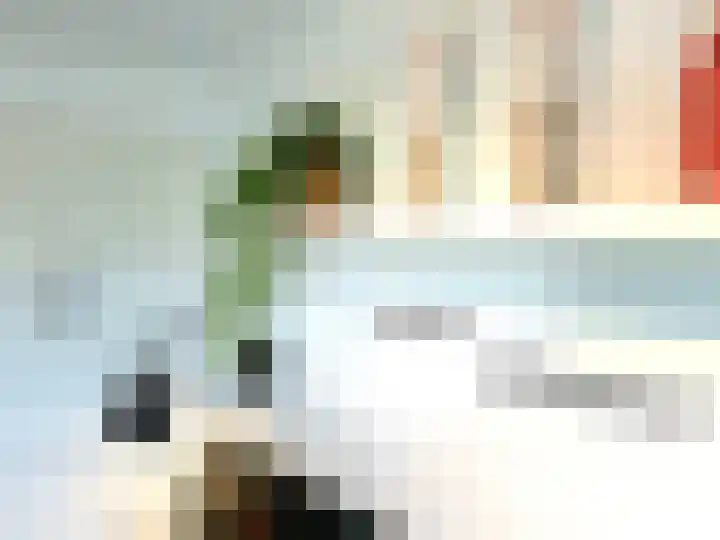 Banstraat 25 S02 Veldhoven thumbnail 11