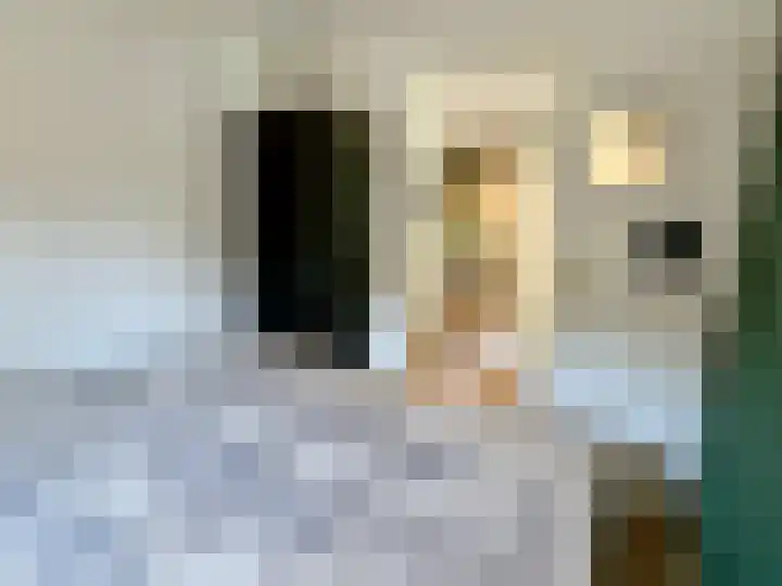 Banstraat 25 S02 Veldhoven thumbnail 12