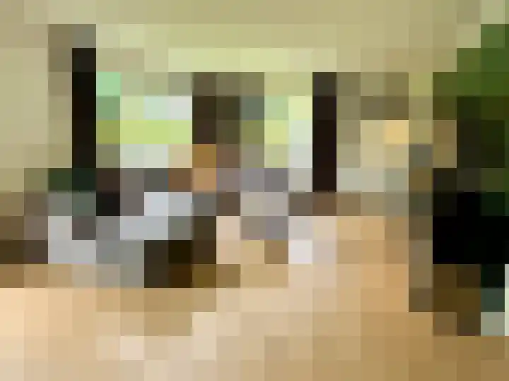 Banstraat 25 S02 Veldhoven thumbnail 20