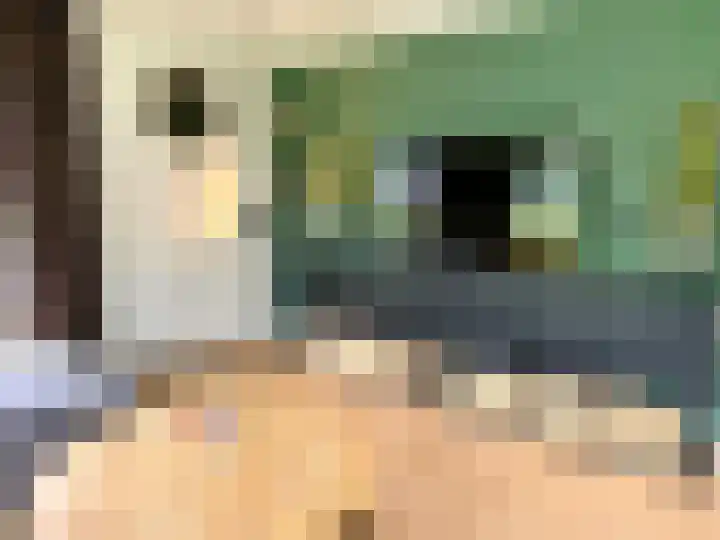 Banstraat 25 S02 Veldhoven thumbnail 21