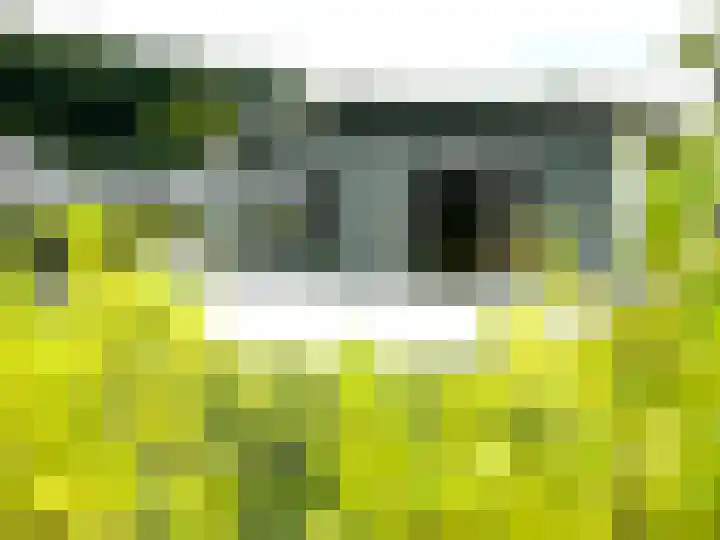 Banstraat 25 S02 Veldhoven thumbnail 30