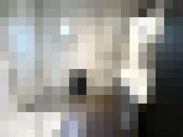 Banstraat 25 S02 Veldhoven thumbnail 6
