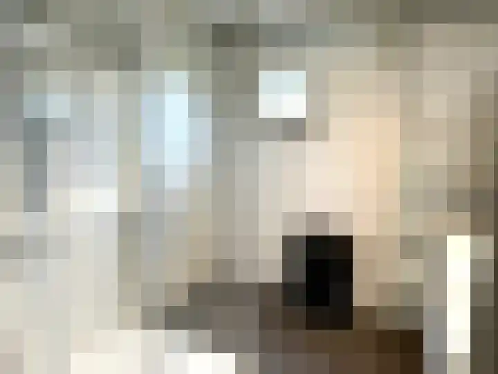 Banstraat 25 S02 Veldhoven thumbnail 9