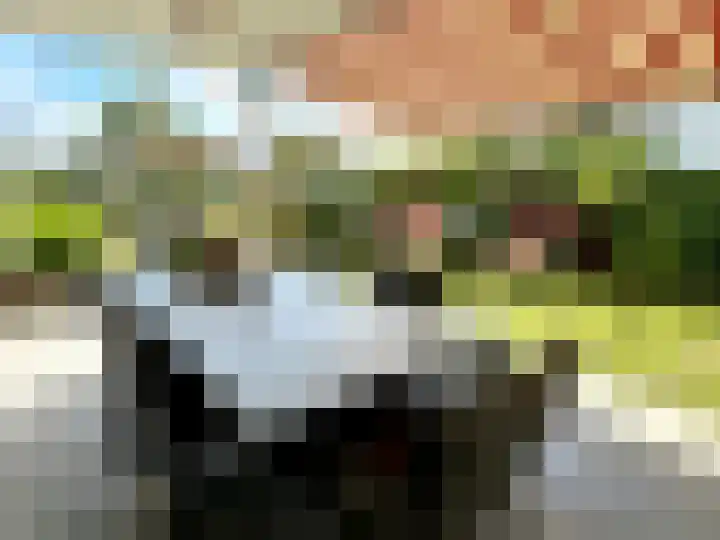 Banstraat 25 S10 Veldhoven thumbnail 21