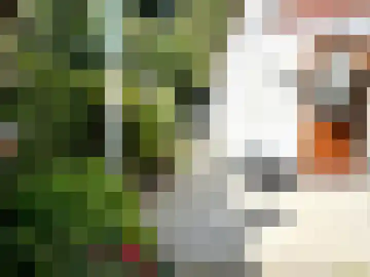 Banstraat 25 S10 Veldhoven thumbnail 23