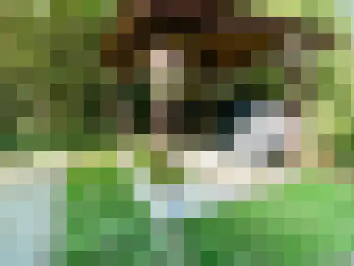 Banstraat 25 S10 Veldhoven thumbnail 26