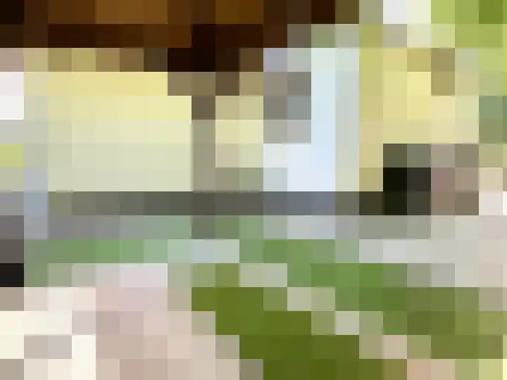 Banstraat 25 S10 Veldhoven thumbnail 27
