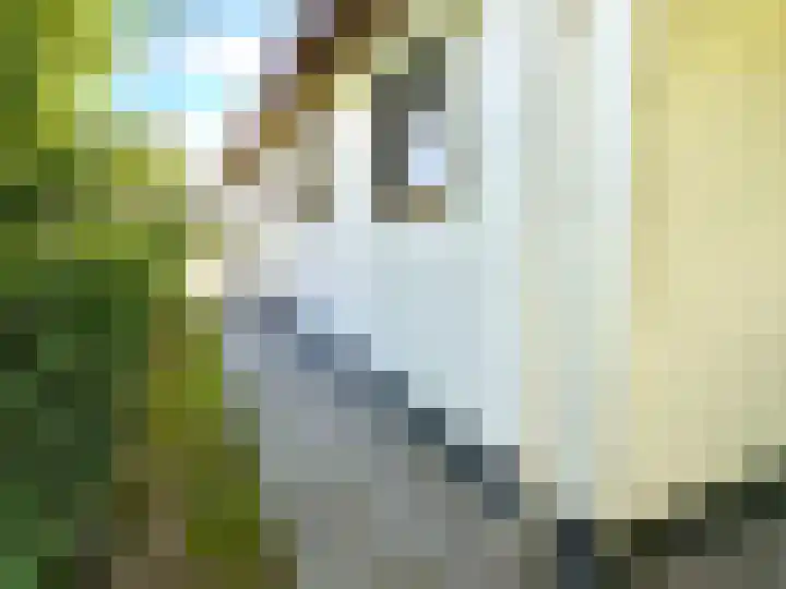 Banstraat 25 S10 Veldhoven thumbnail 28
