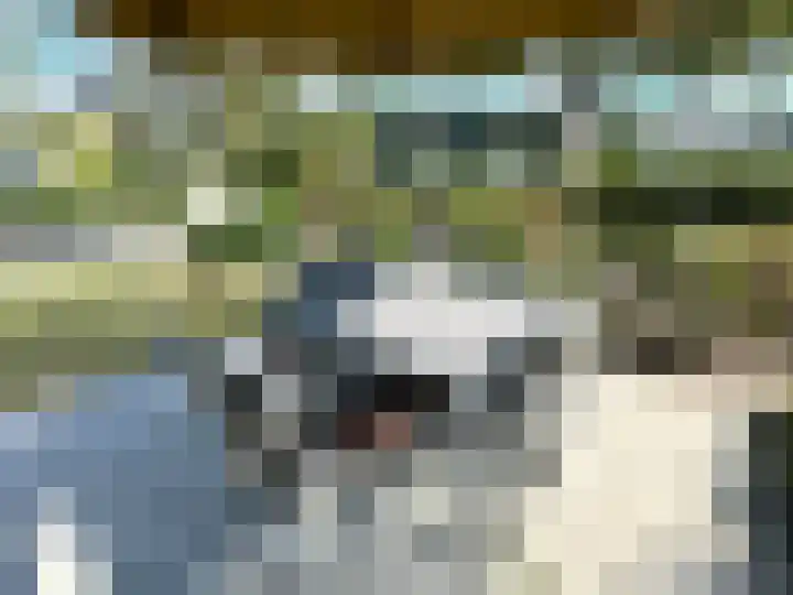 Banstraat 25 S10 Veldhoven thumbnail 32