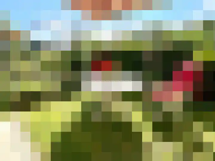 Banstraat 25 S10 Veldhoven thumbnail 34