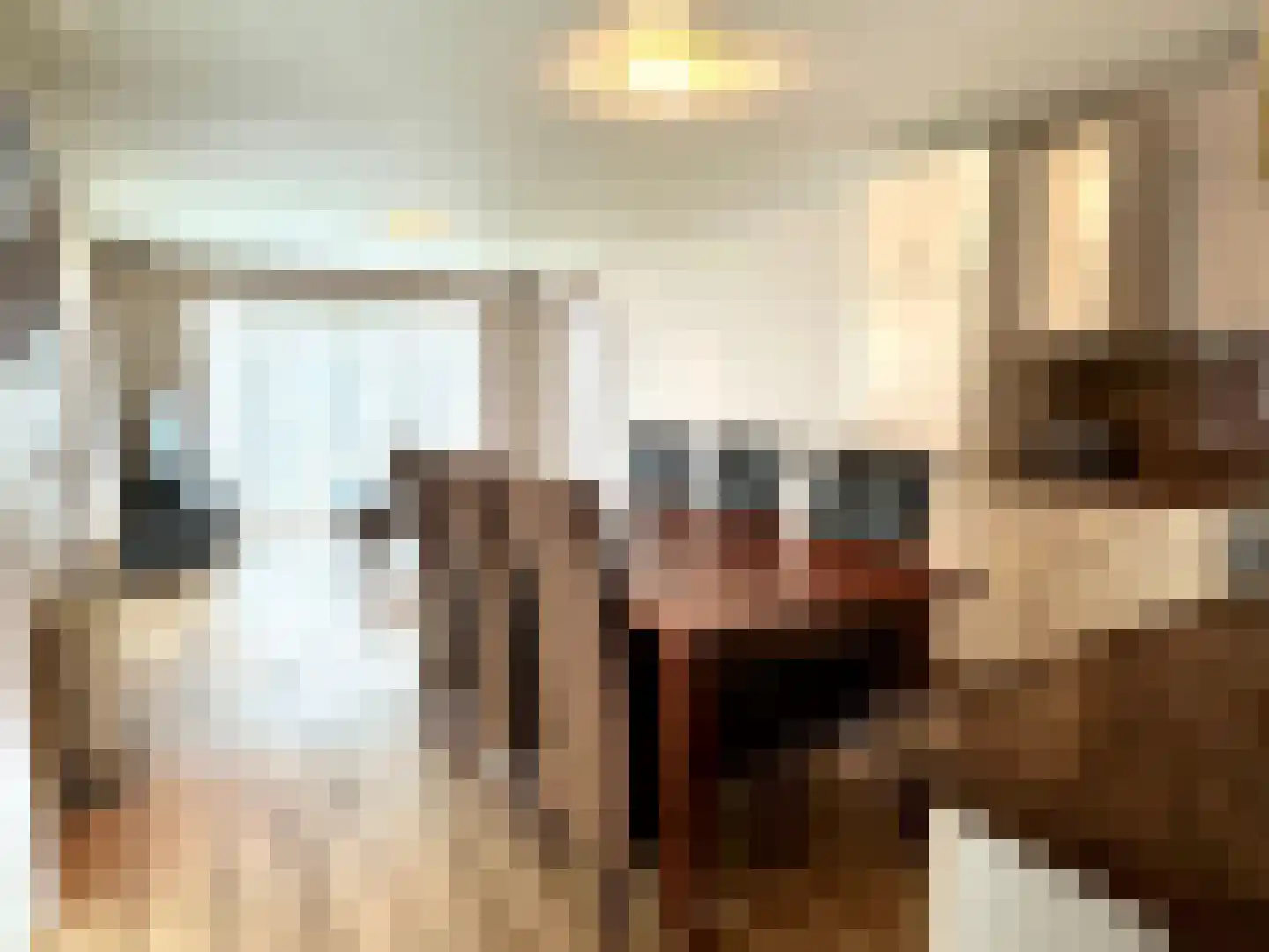 Banstraat 25 S24 Veldhoven thumbnail 6