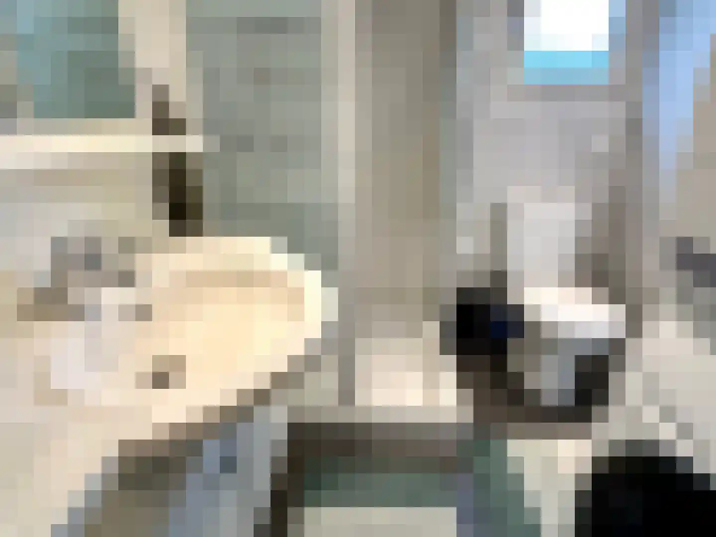 Banstraat 25 S34 Veldhoven thumbnail 16