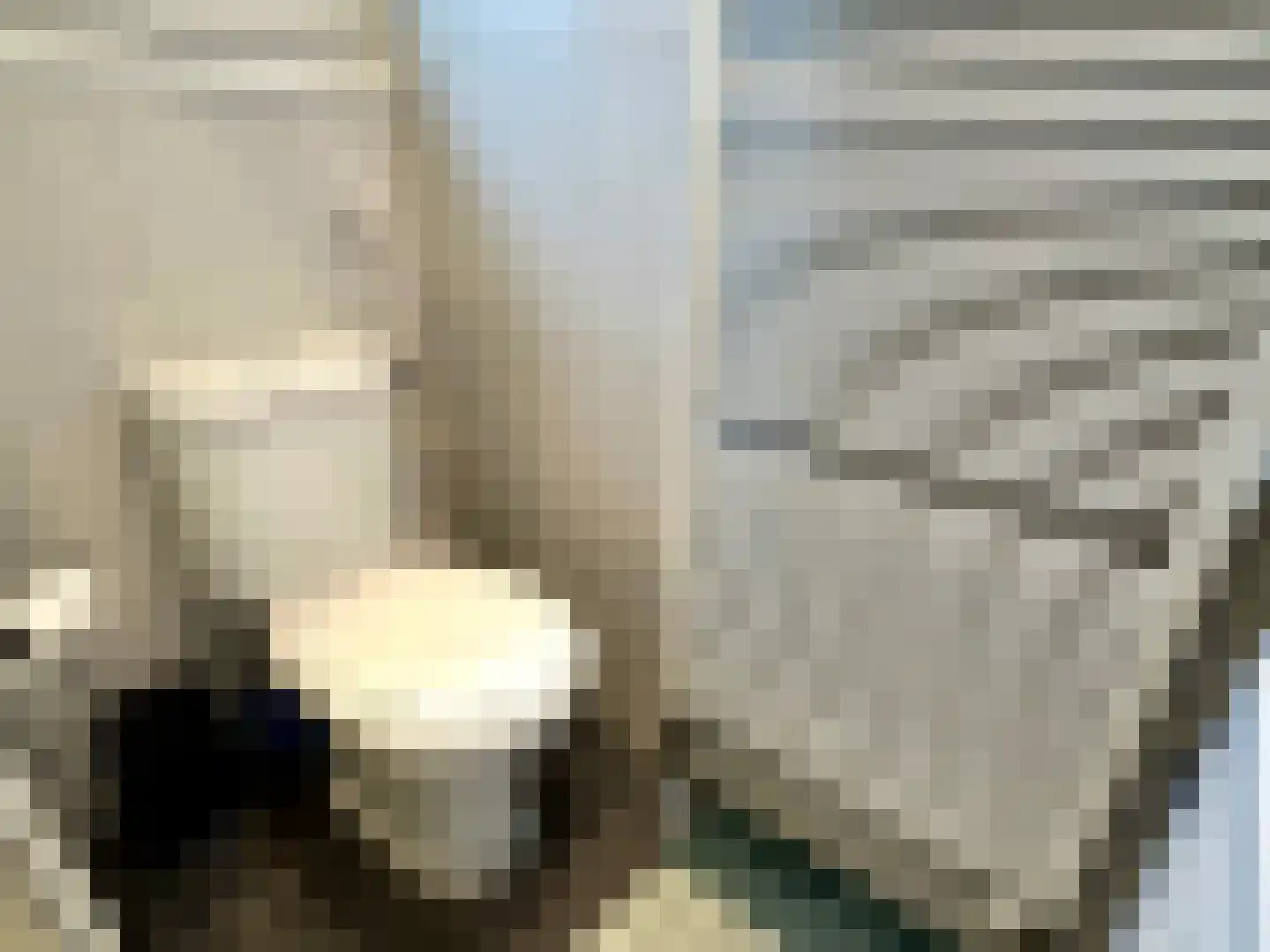Banstraat 25 S34 Veldhoven thumbnail 17