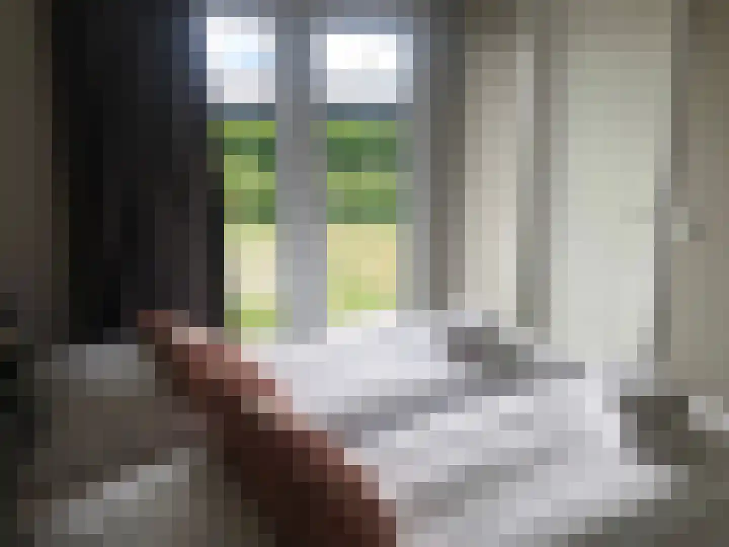 Banstraat 25 Veldhoven thumbnail 16